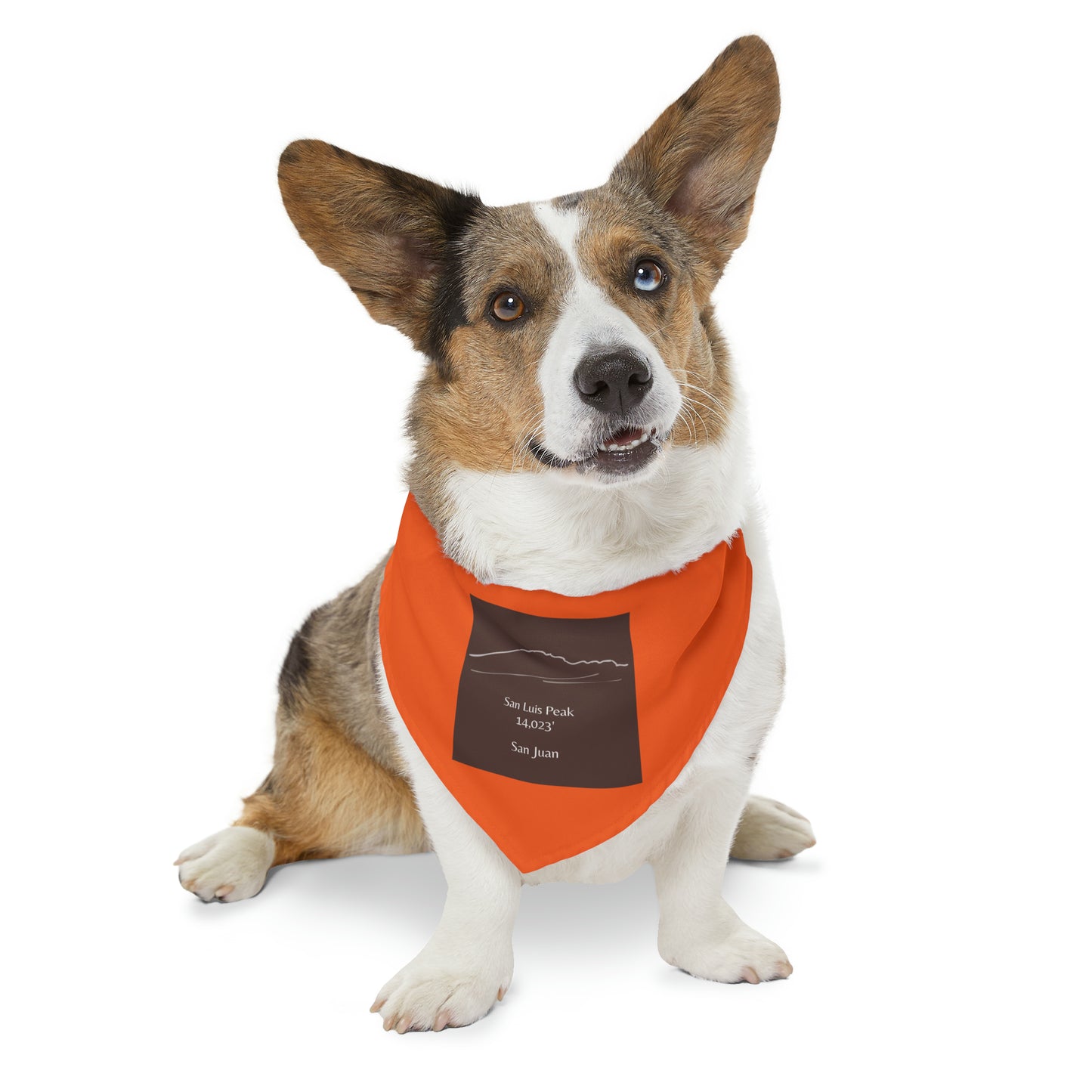 San Luis Peak 14er Pet Bandana Collar