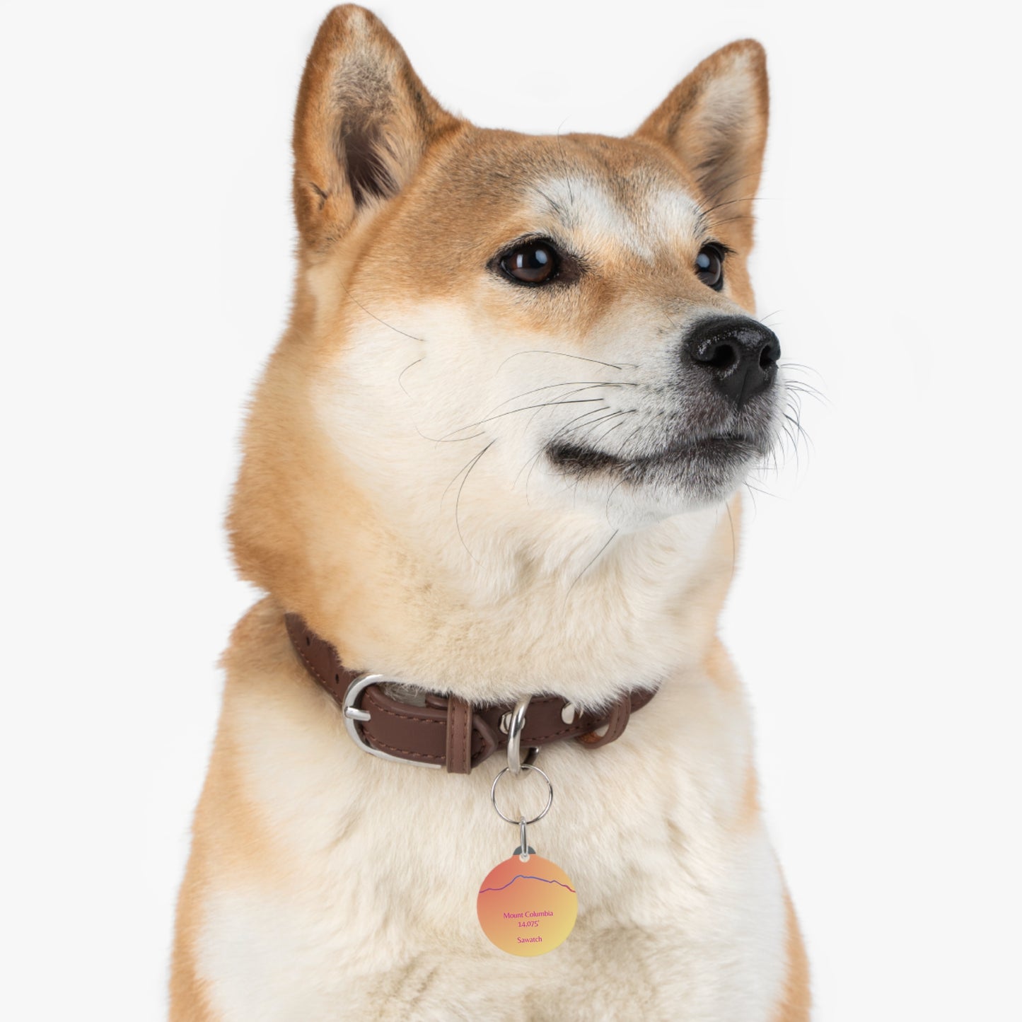 Mount Cameron Pet Tag
