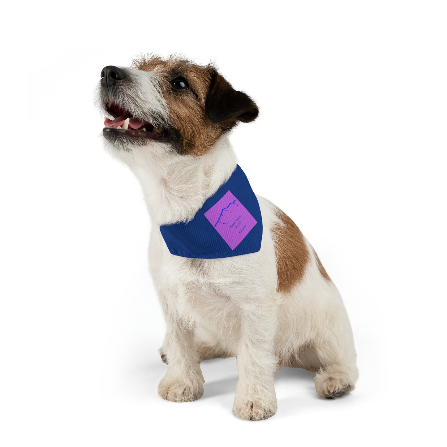 Mount Wilson 14er Pet Bandana Collar