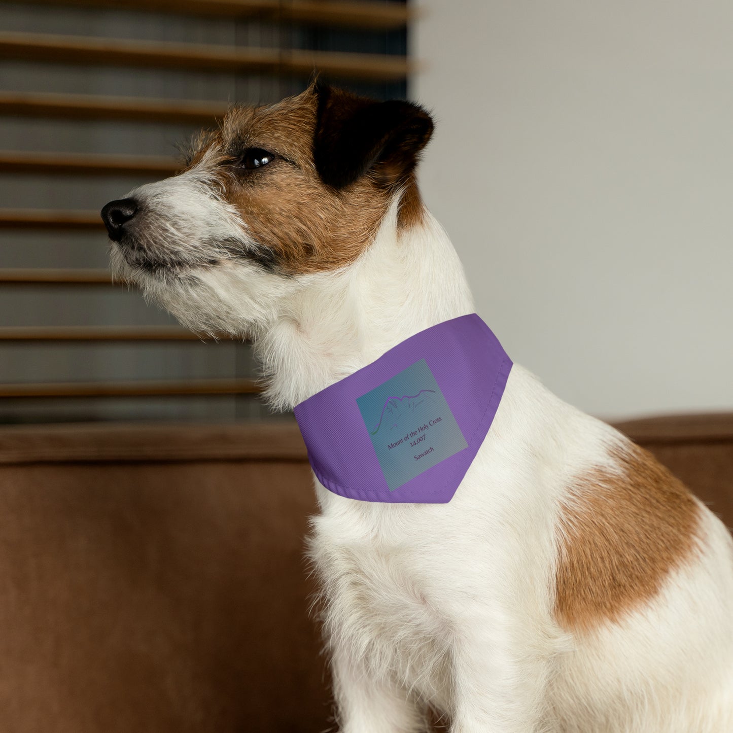 Mount of the Holy Cross 14er Pet Bandana Collar
