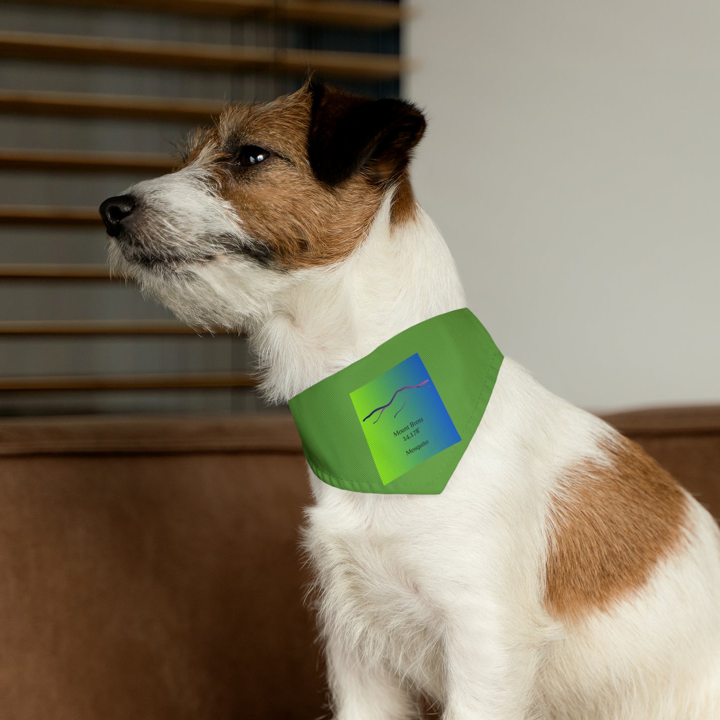 Mount Bross 14er Pet Bandana Collar