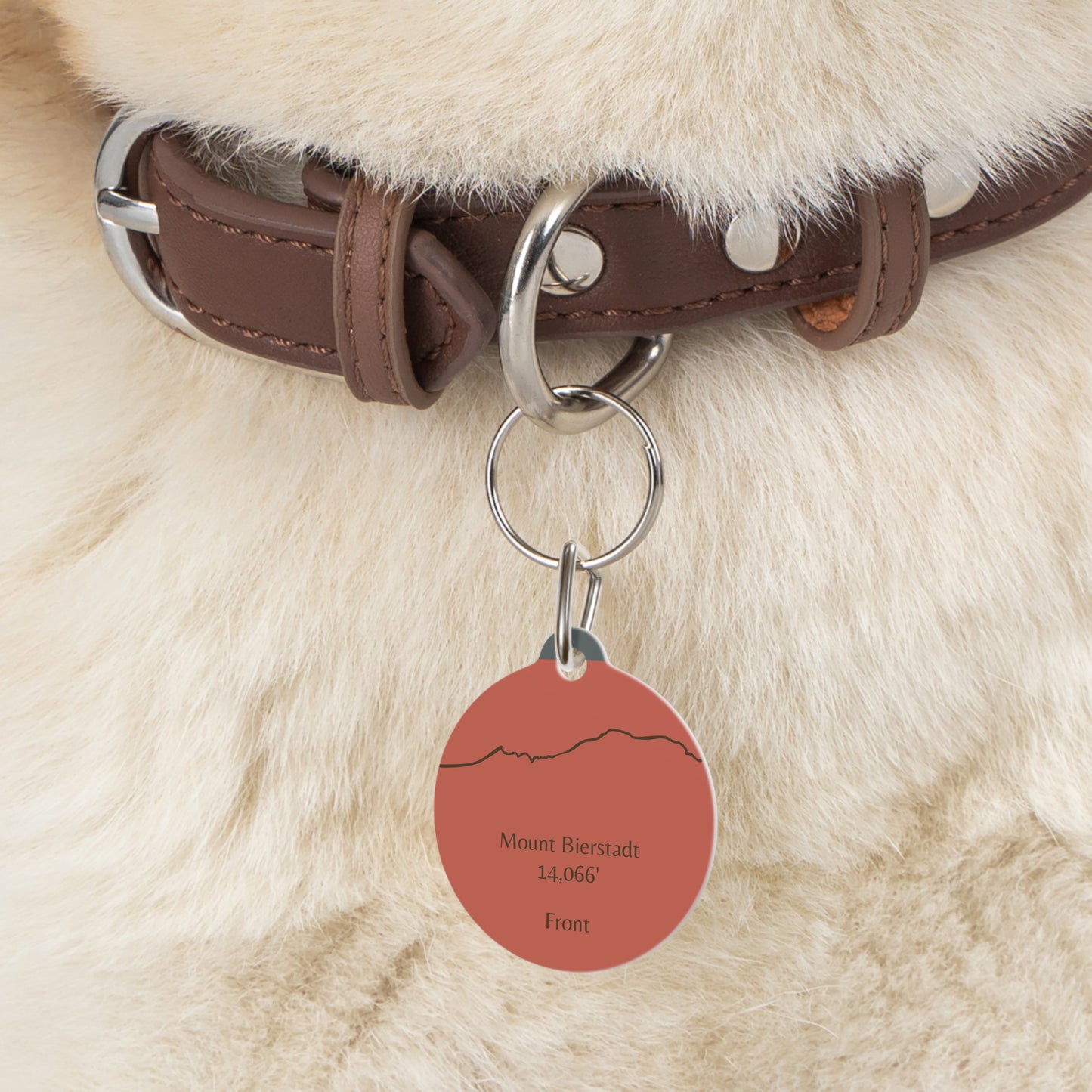 Mount Bierstadt Pet Tag