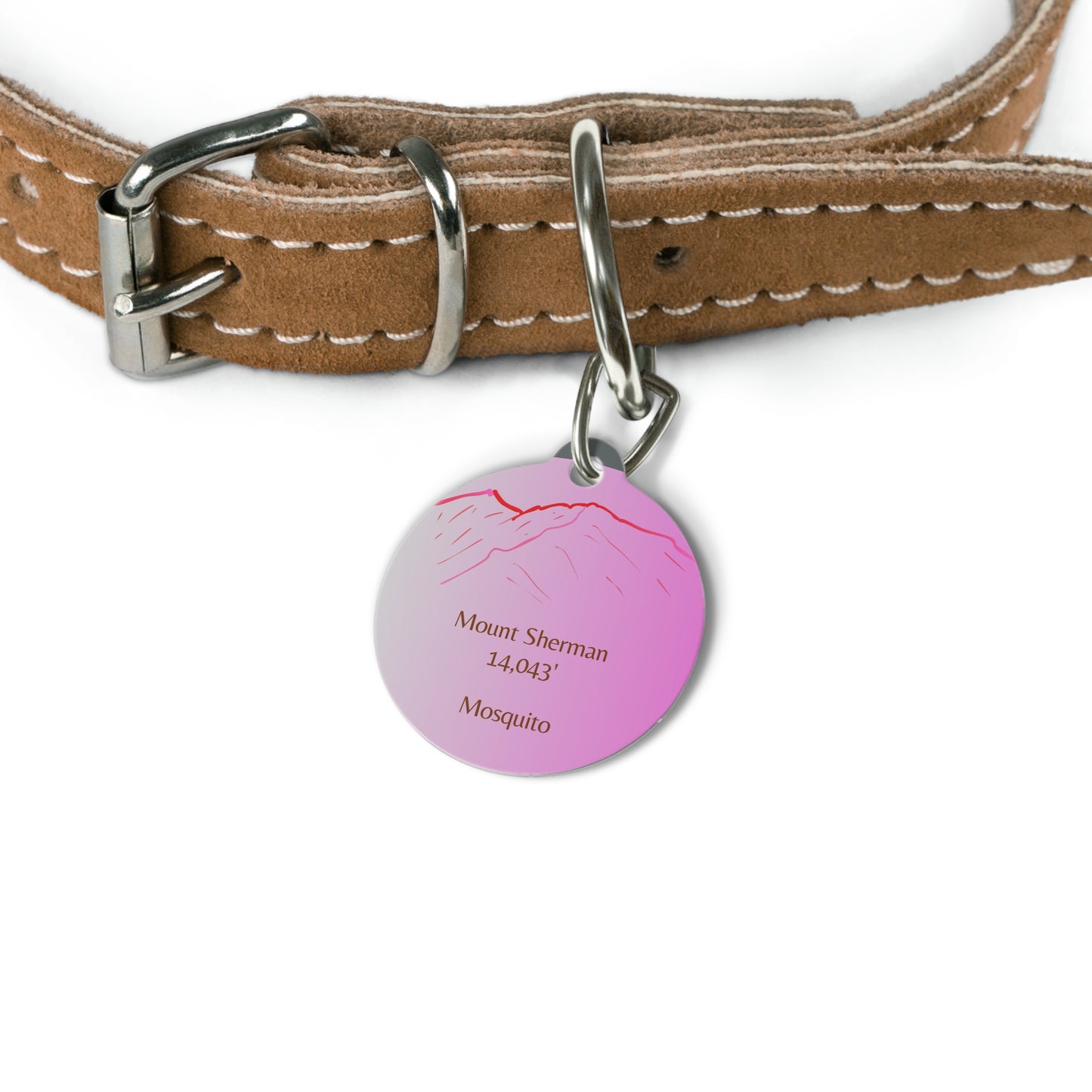 Mount Sherman Pet Tag