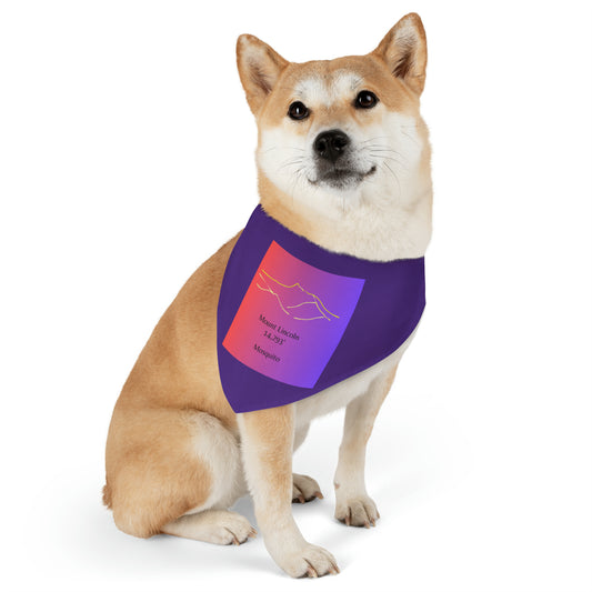 Mount Lincoln 14er Pet Bandana Collar