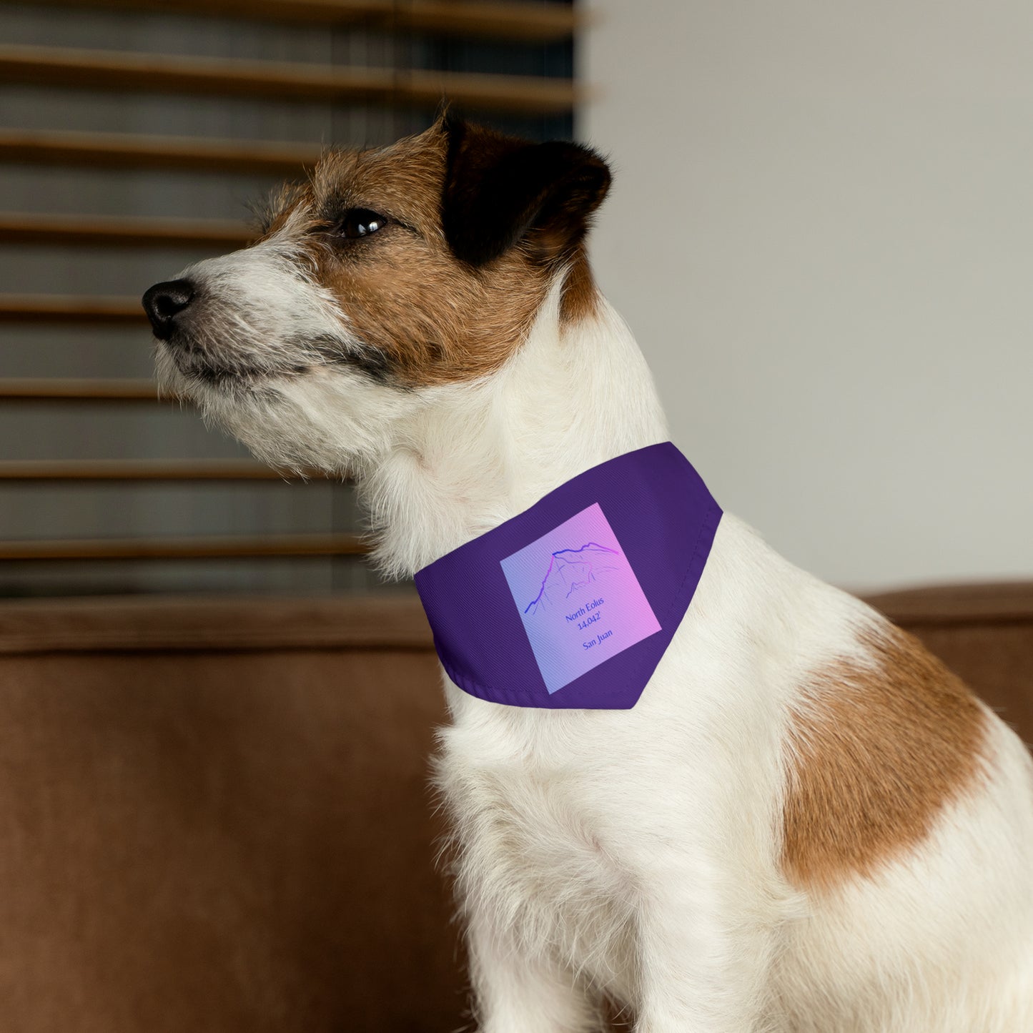 North Eolus 14er Pet Bandana Collar