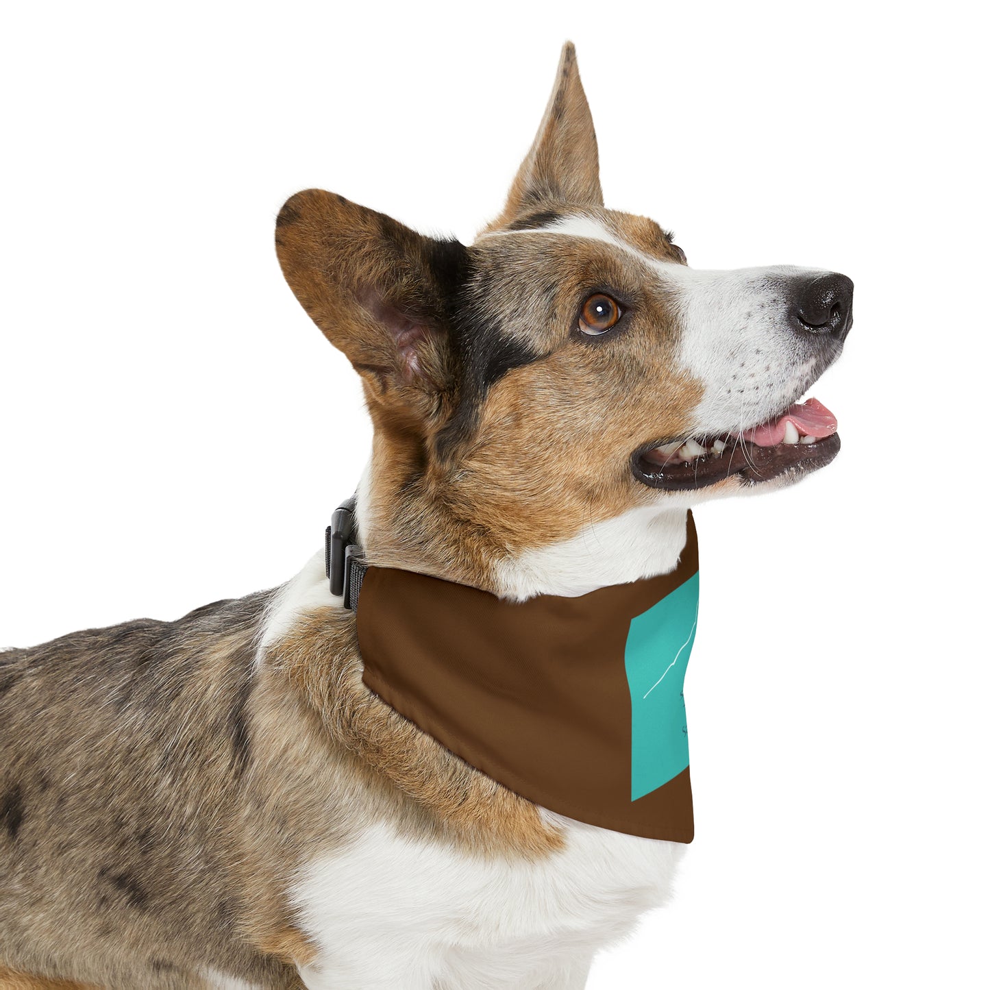 Sunlight Peak 14er Pet Bandana Collar
