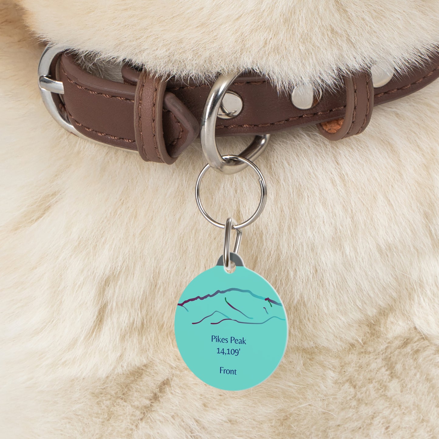 Pikes Peak Pet Tag