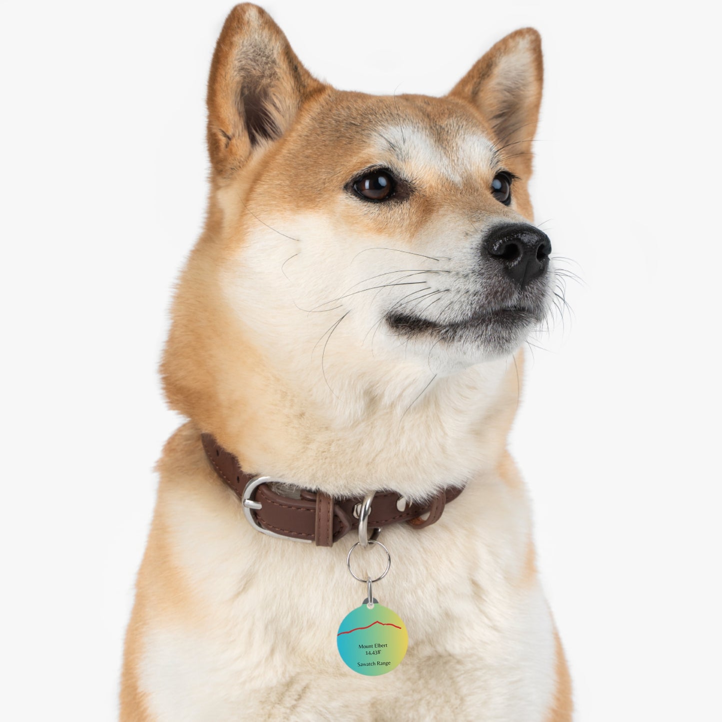 Mount Elbert Pet Tag