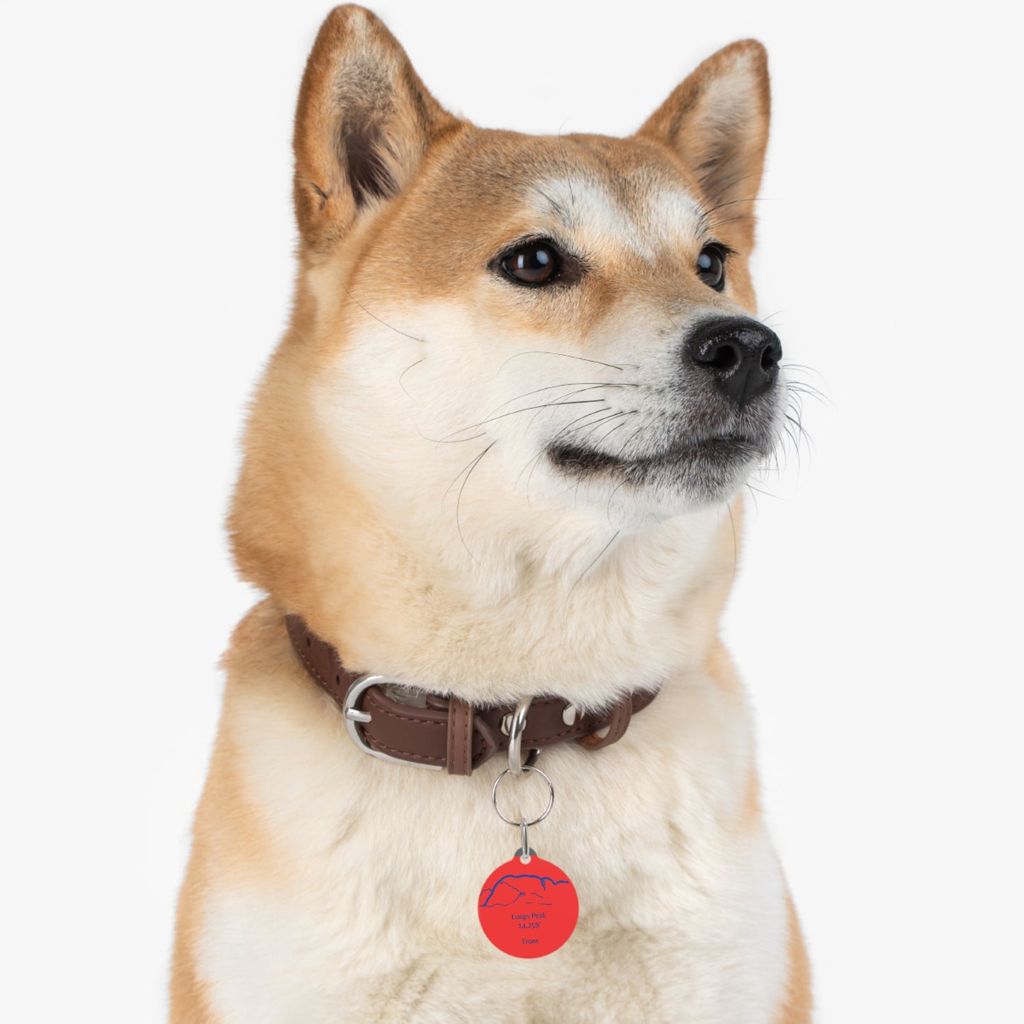 Longs Peak Pet Tag