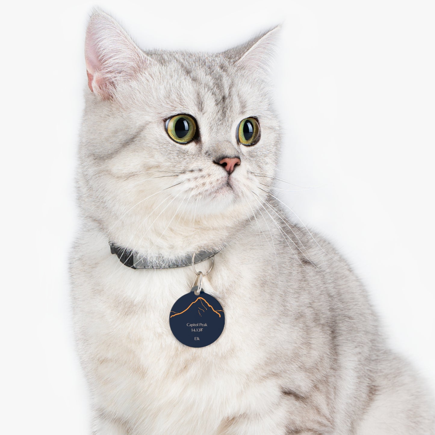 Capitol Peak Pet Tag