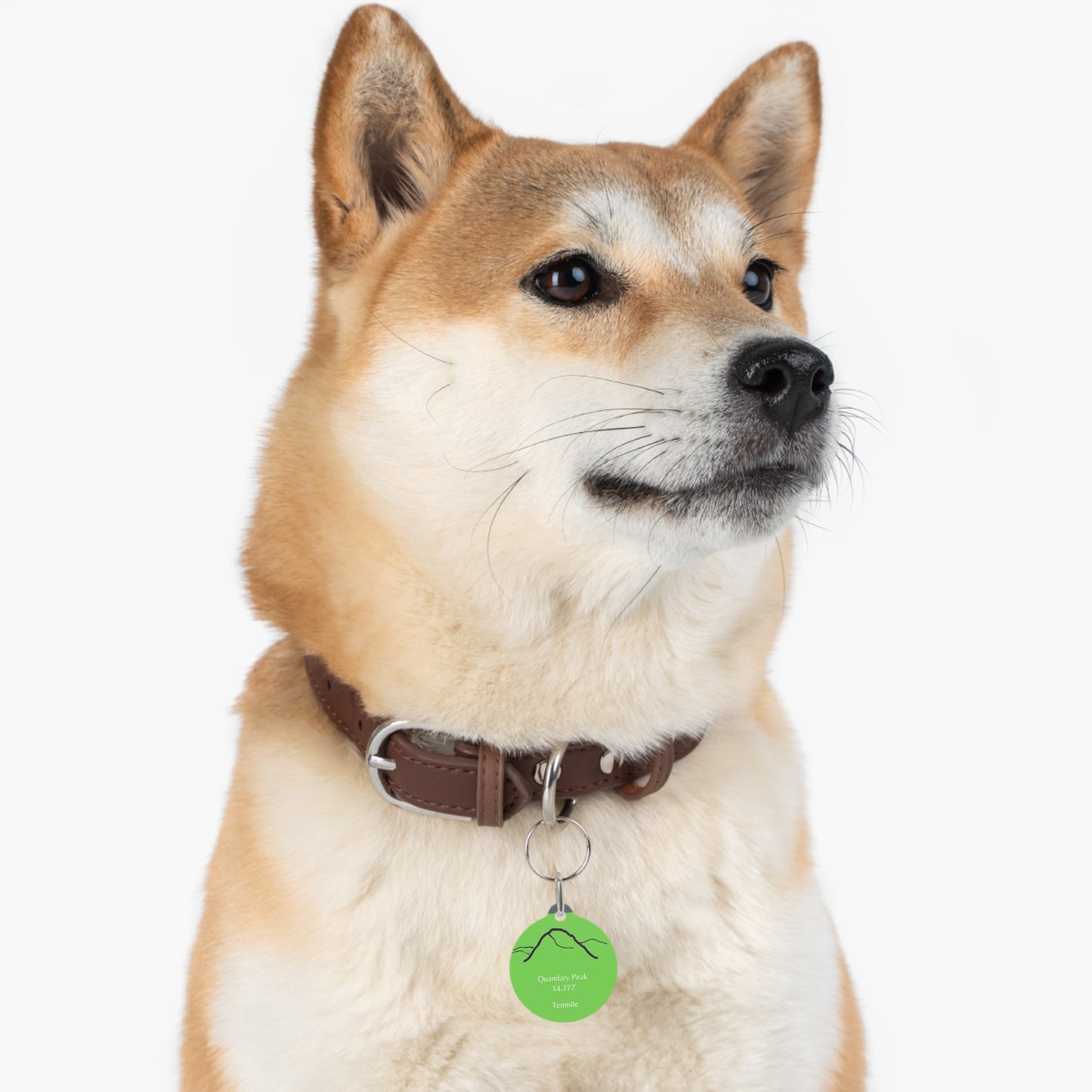 Quandary Peak Pet Tag