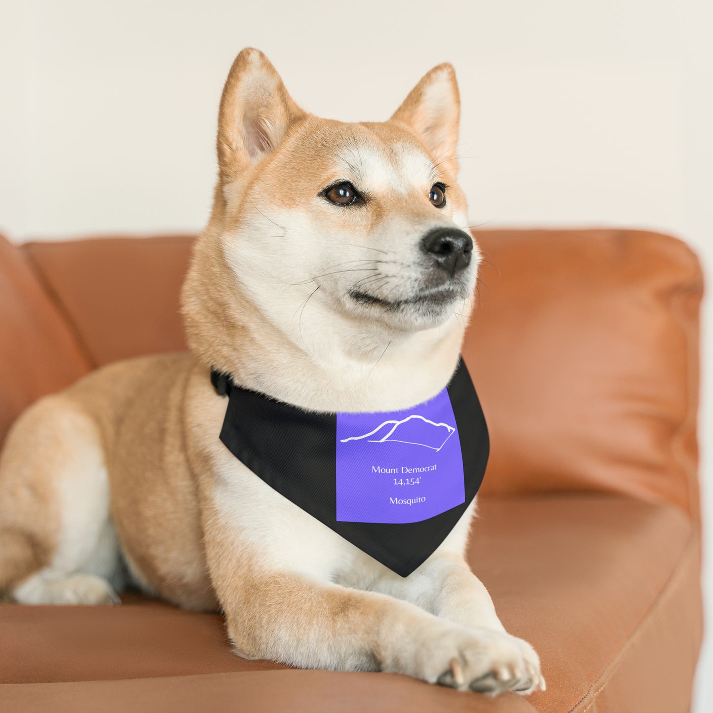 Mount Democrat 14er Pet Bandana Collar