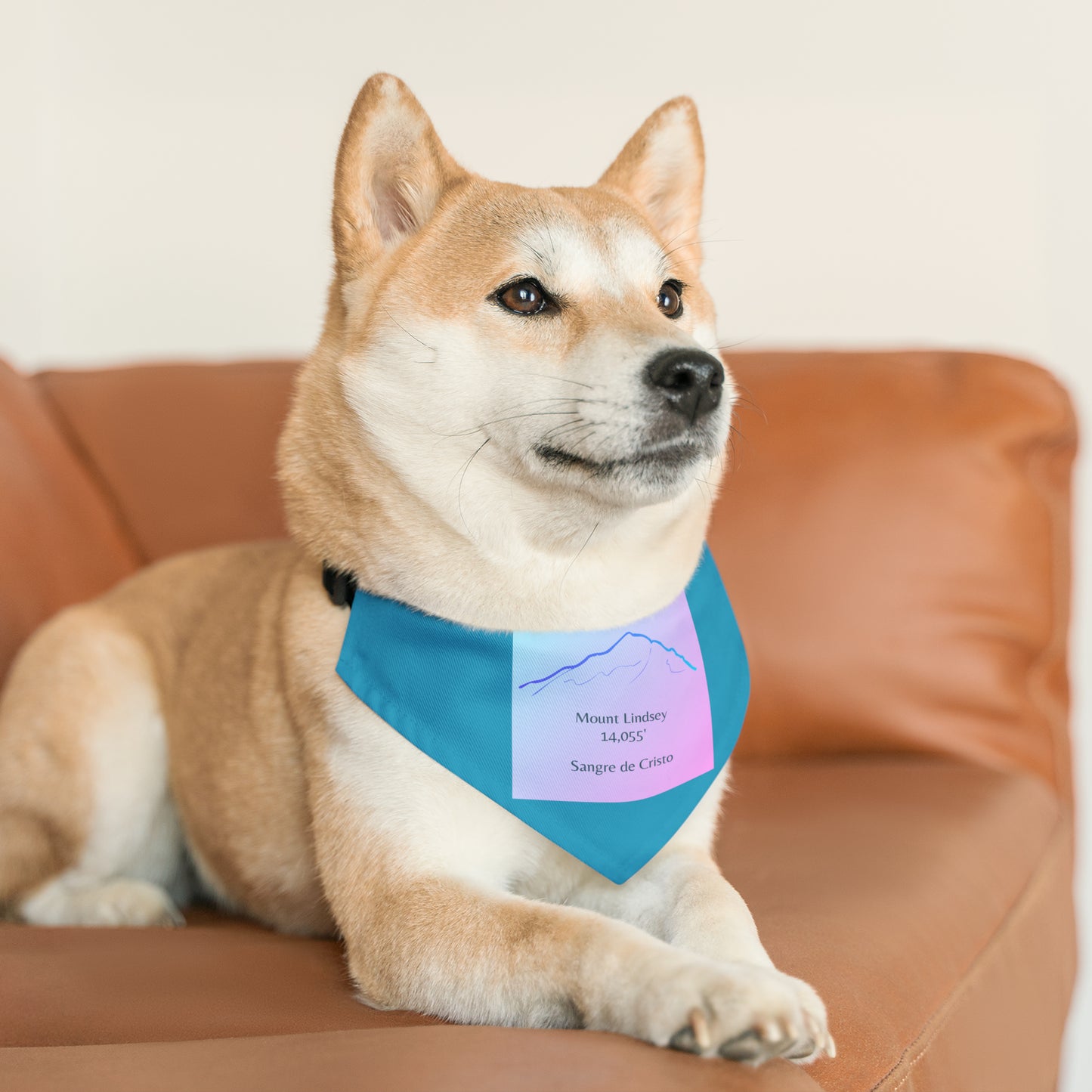 Mount Lindsey 14er Pet Bandana Collar