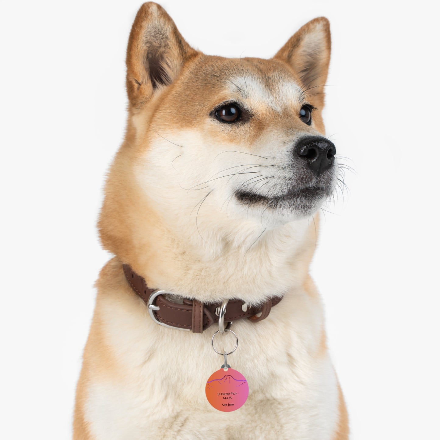 El Diente Peak Pet Tag