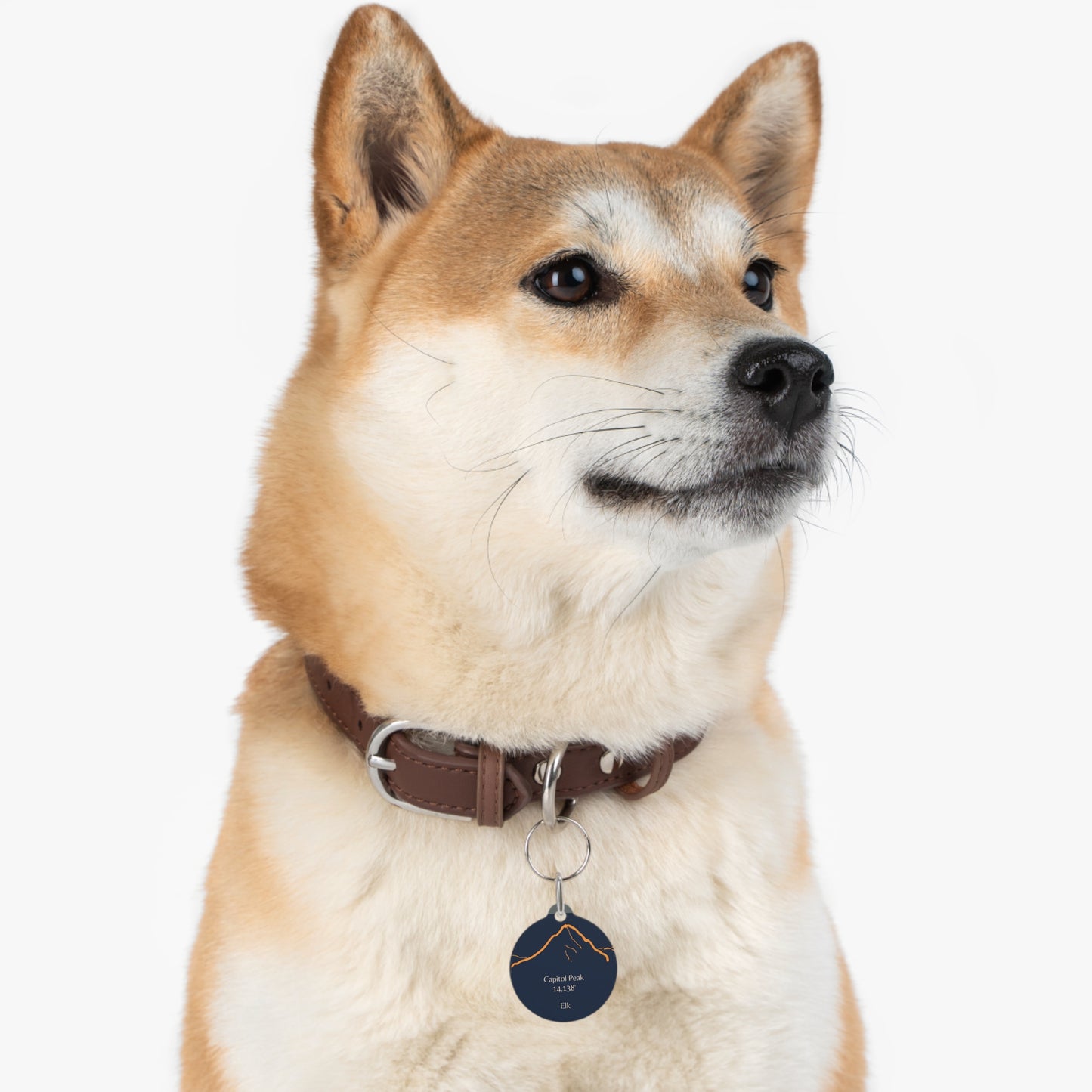 Capitol Peak Pet Tag