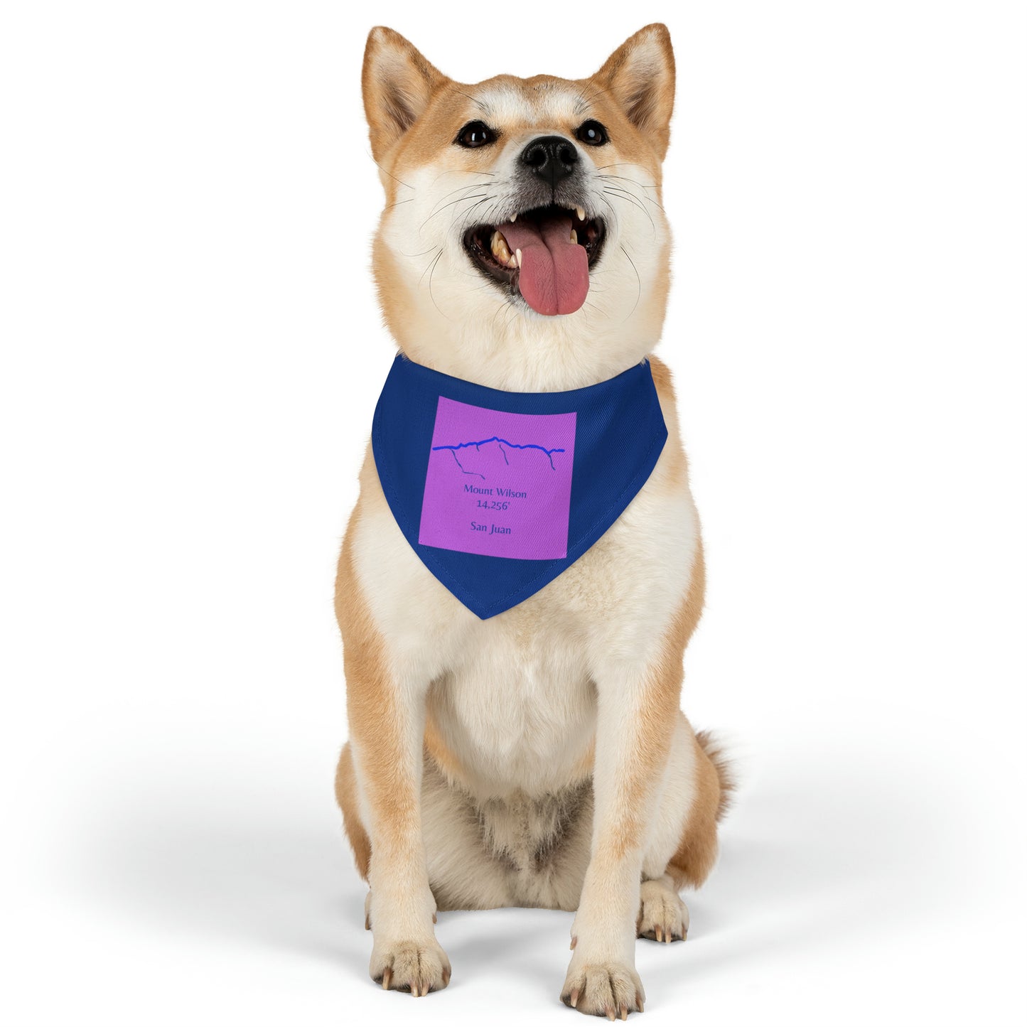 Mount Wilson 14er Pet Bandana Collar