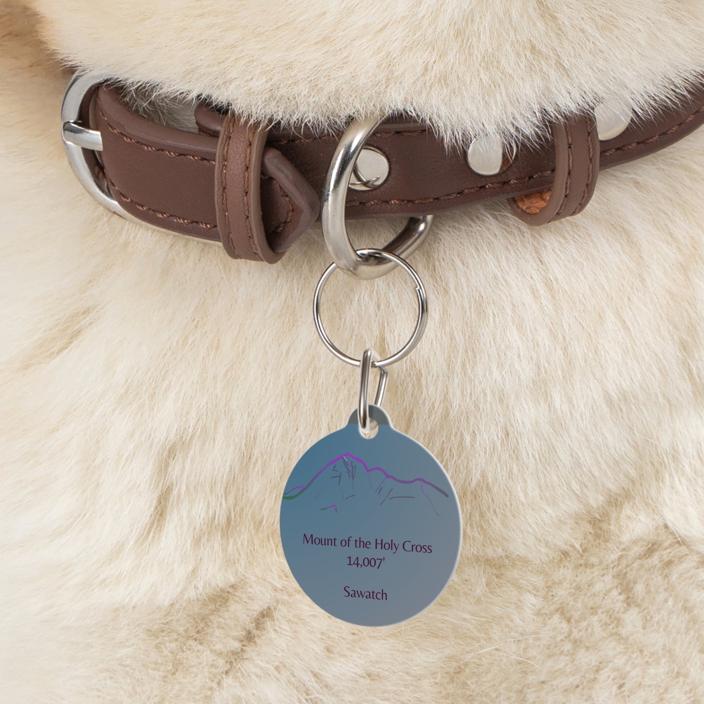 Mount of the Holy Cross Pet Tag