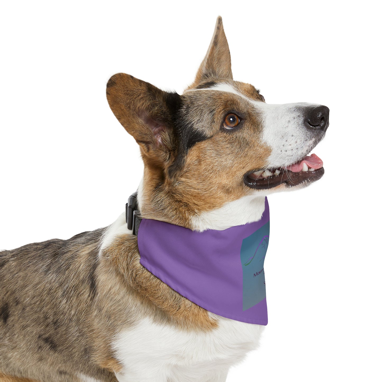 Mount of the Holy Cross 14er Pet Bandana Collar