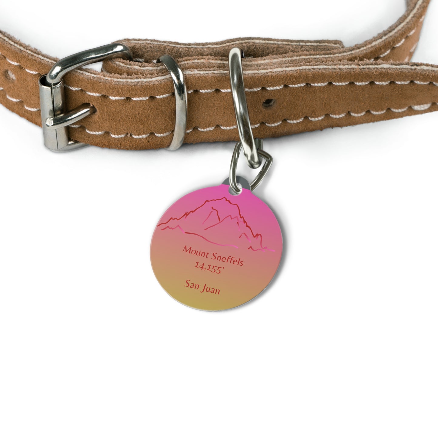 Mount Sneffels Pet Tag