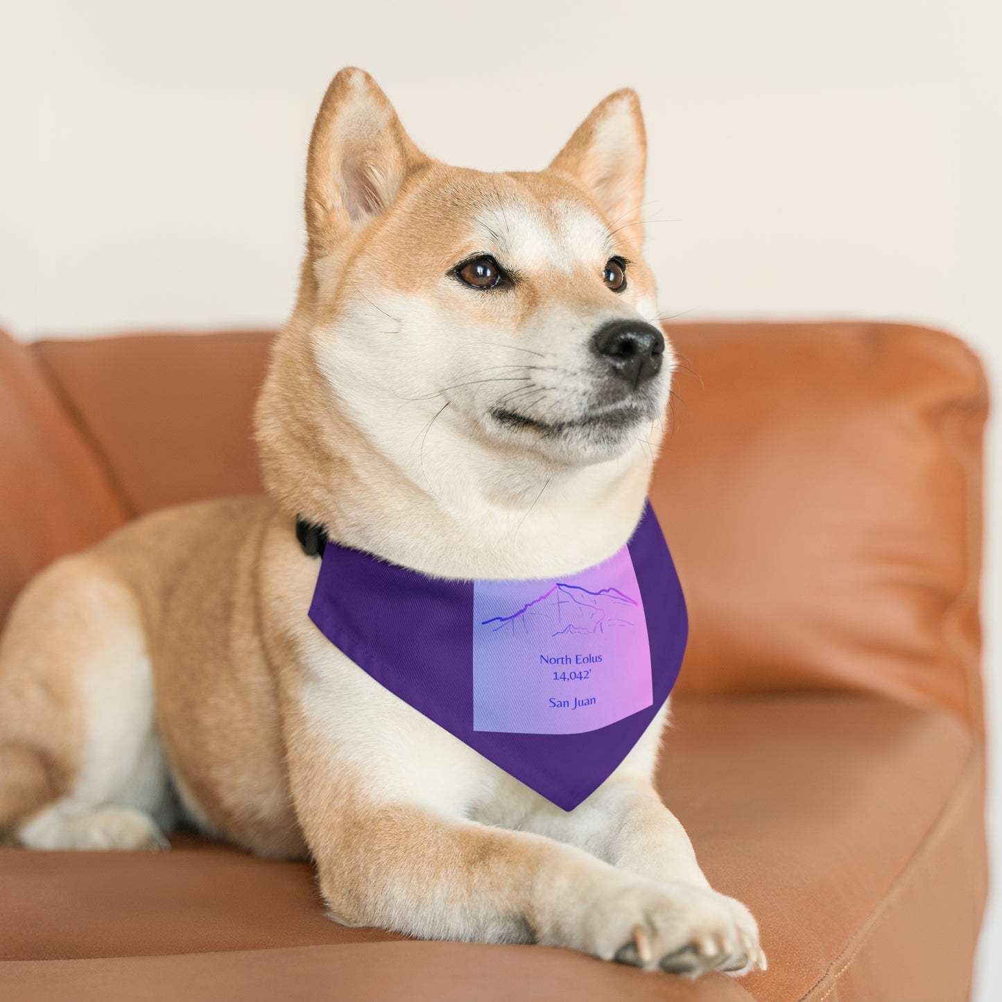 North Eolus 14er Pet Bandana Collar