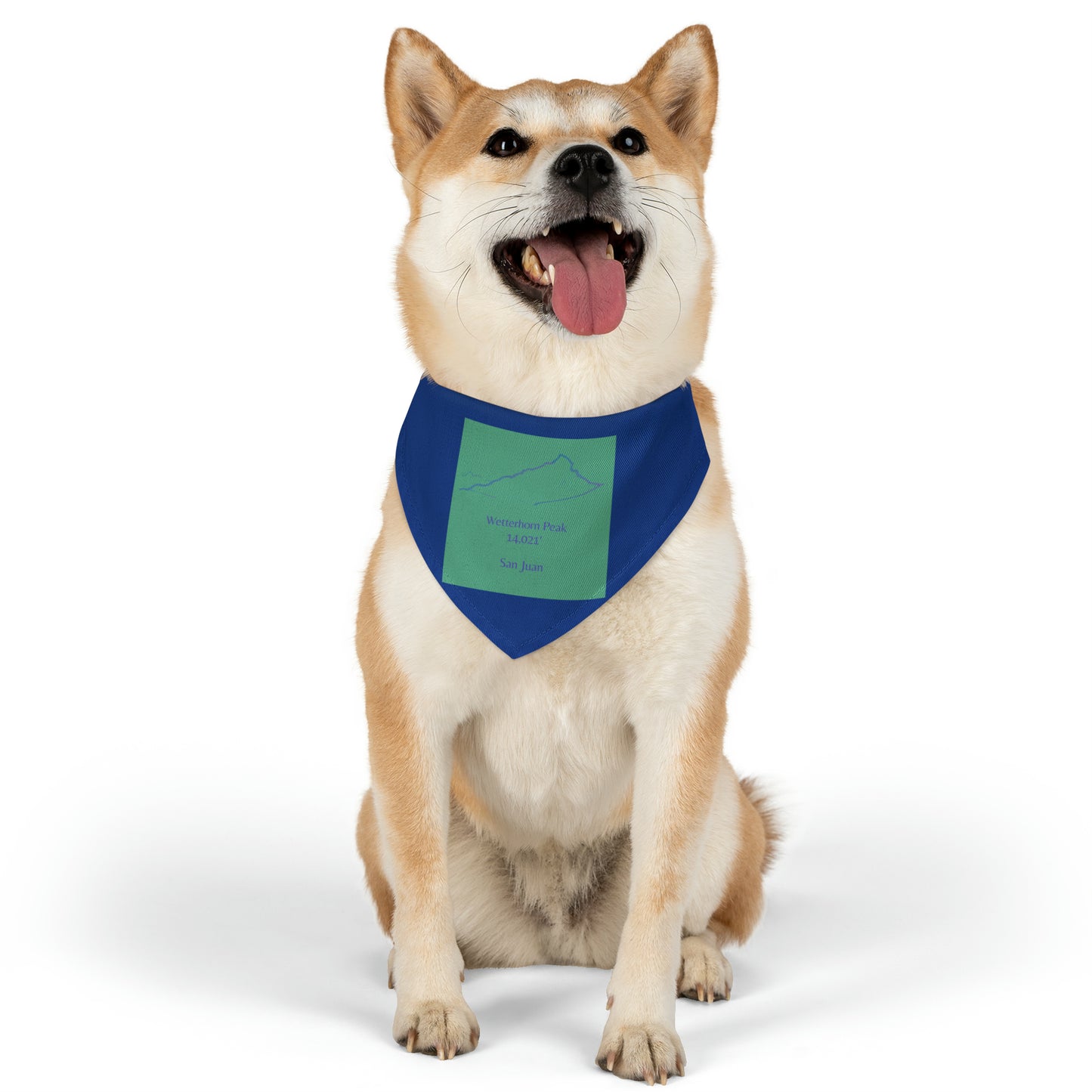 Wetterhorn Peak 14er Pet Bandana Collar