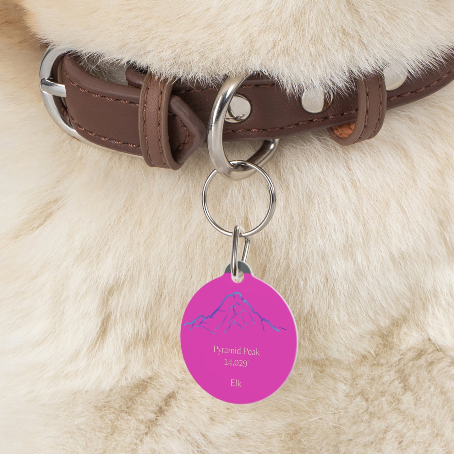 Pyramid Peak Pet Tag