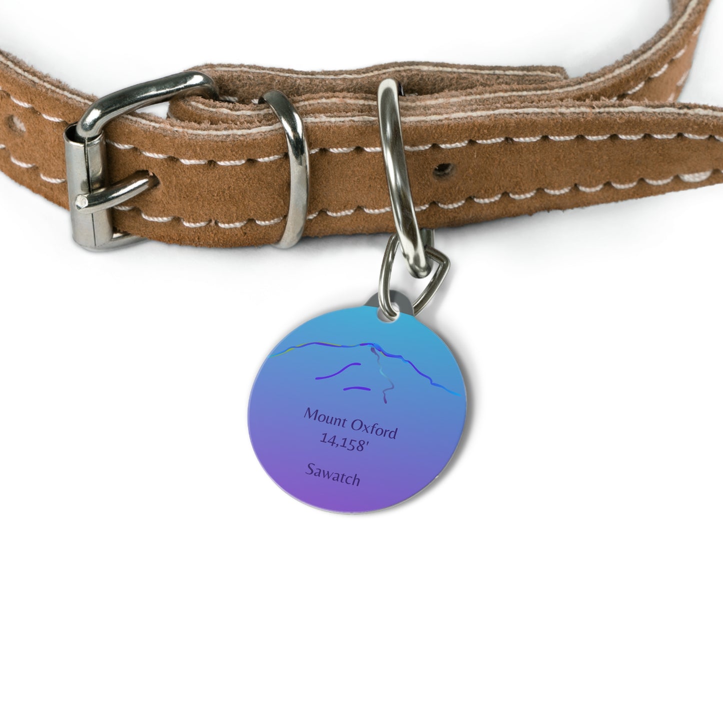 Mount Oxford Pet Tag
