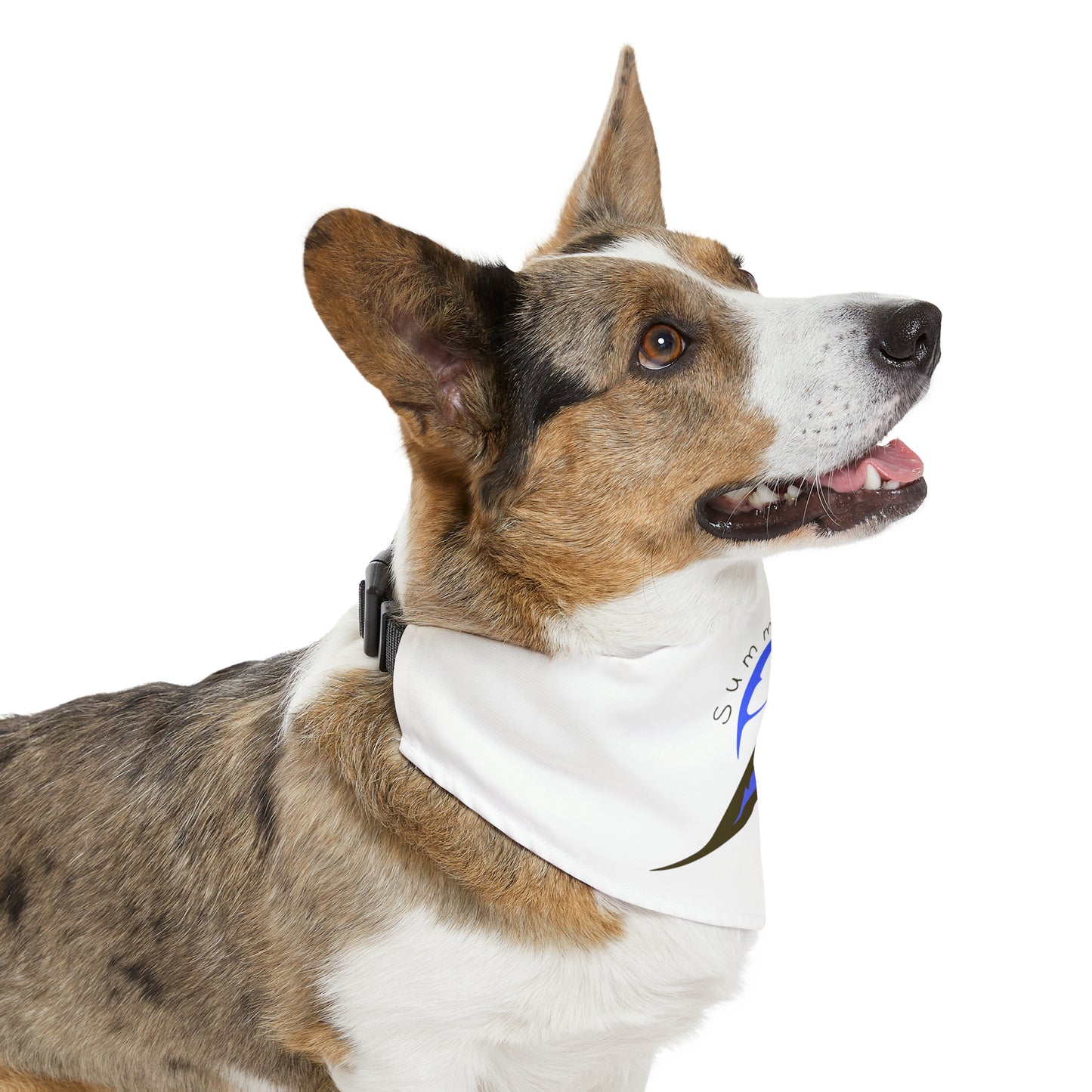 Summit Life Pet Bandana Collar