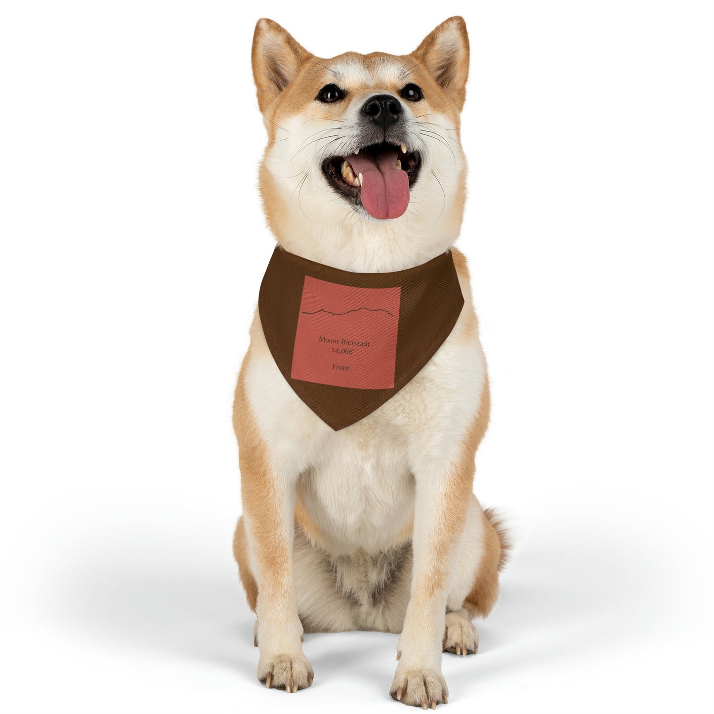 Mount Bierstadt 14er Pet Bandana Collar
