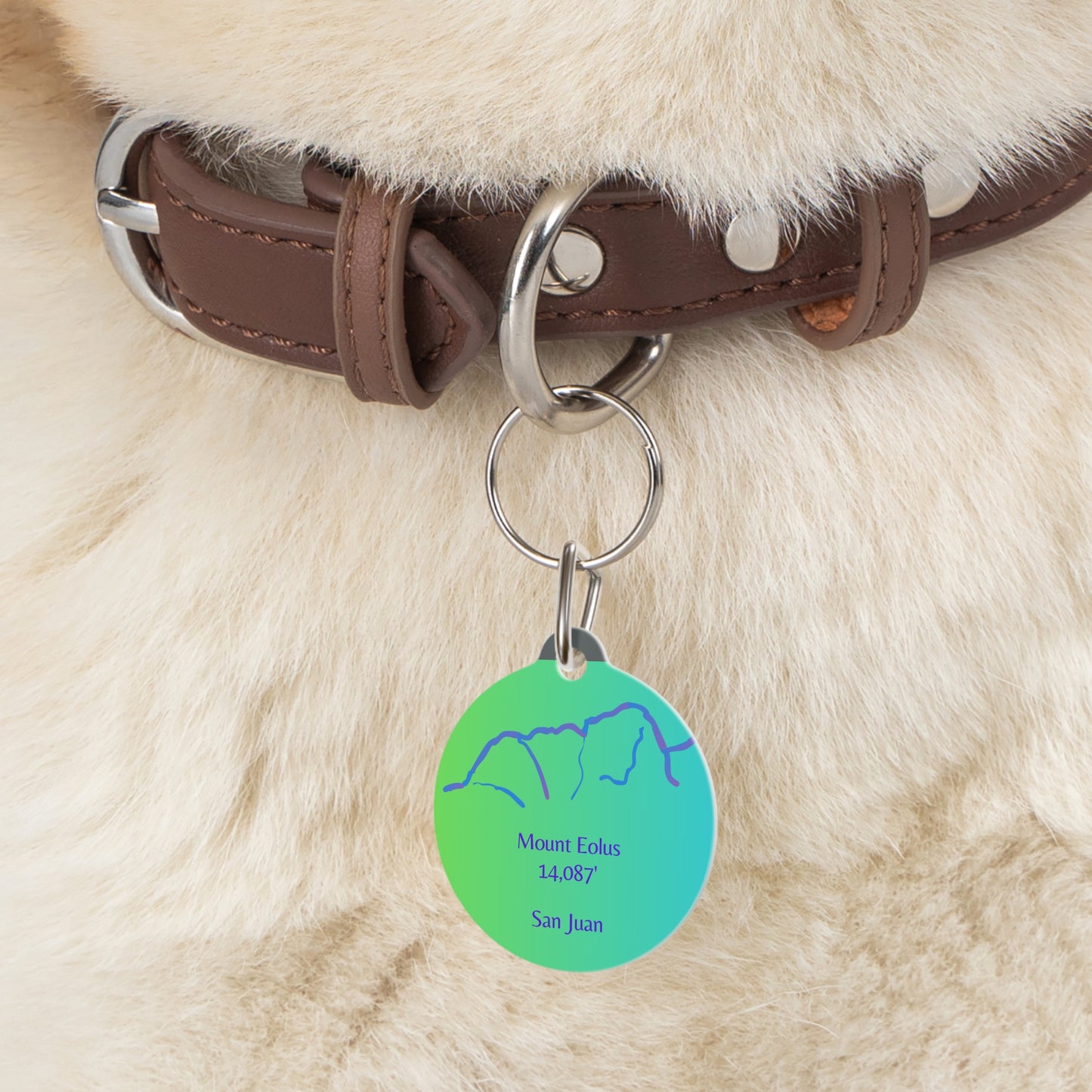 Mount Eolus Pet Tag