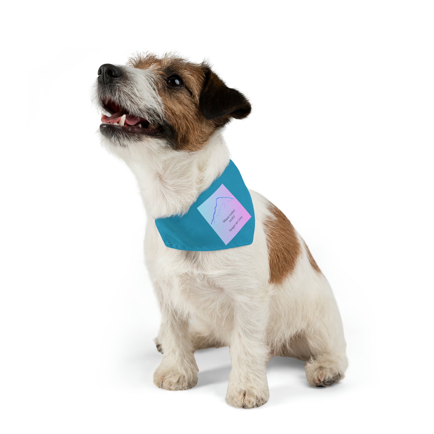 Mount Lindsey 14er Pet Bandana Collar