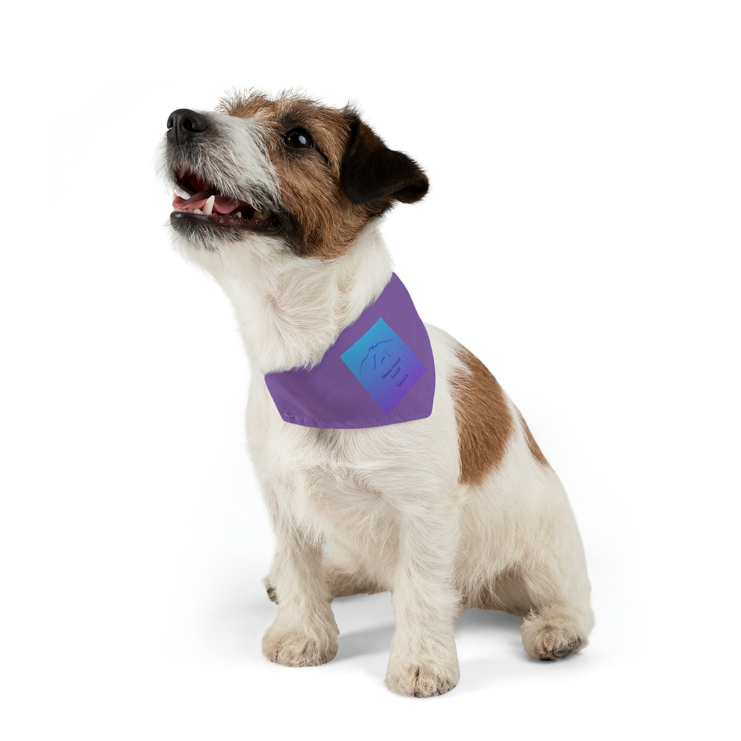 Mount Oxford 14er Pet Bandana Collar