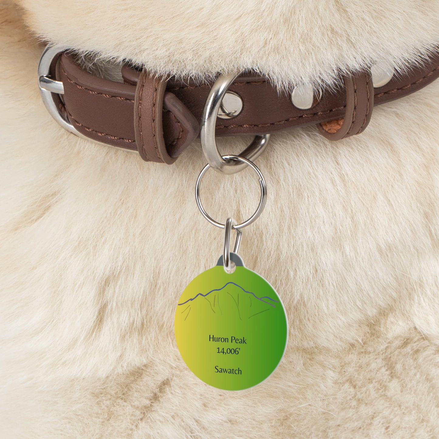 Huron Peak Pet Tag