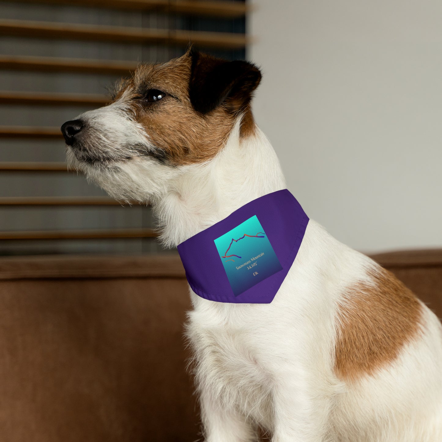 Snowmass Mountain 14er Pet Bandana Collar