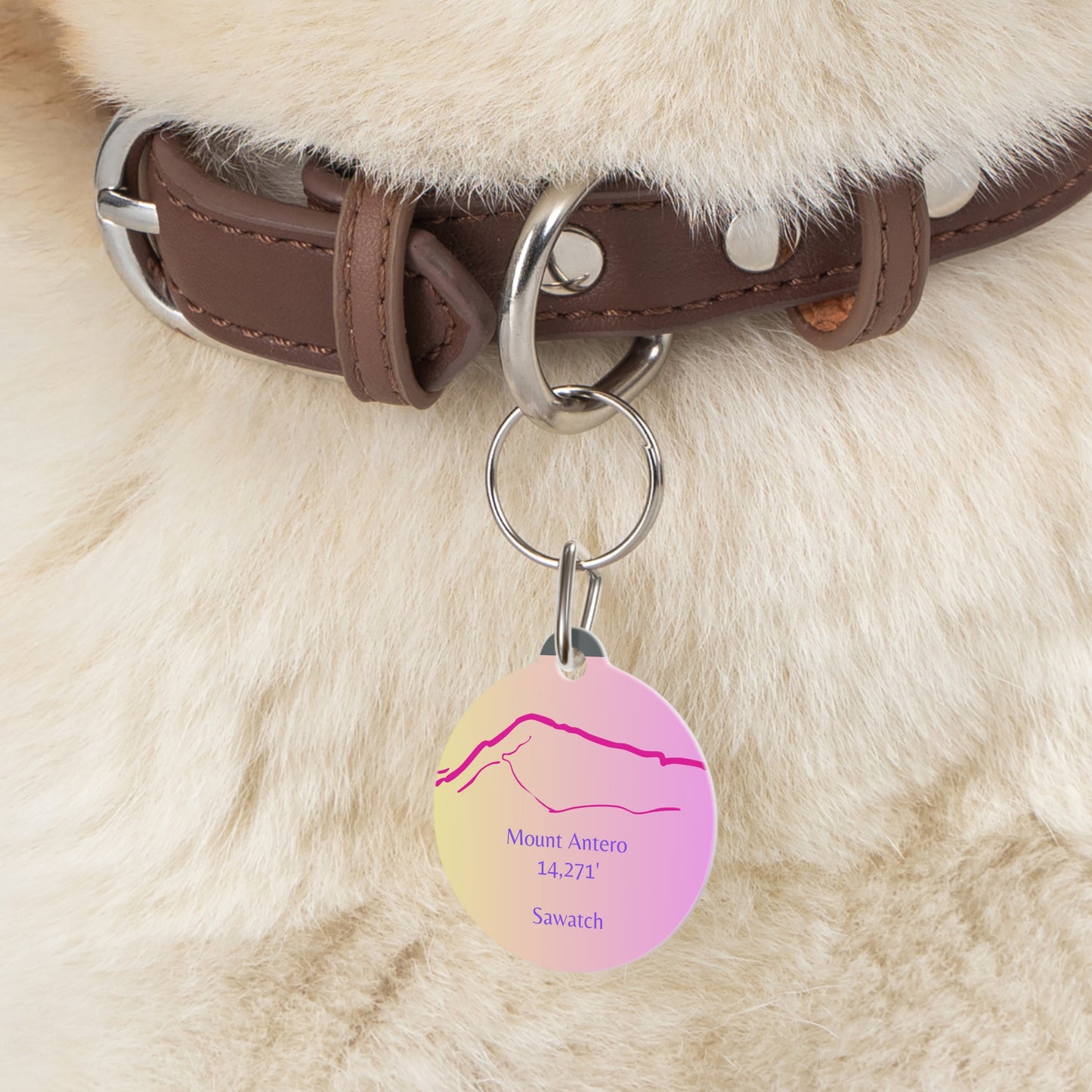 Mount Antero Pet Tag