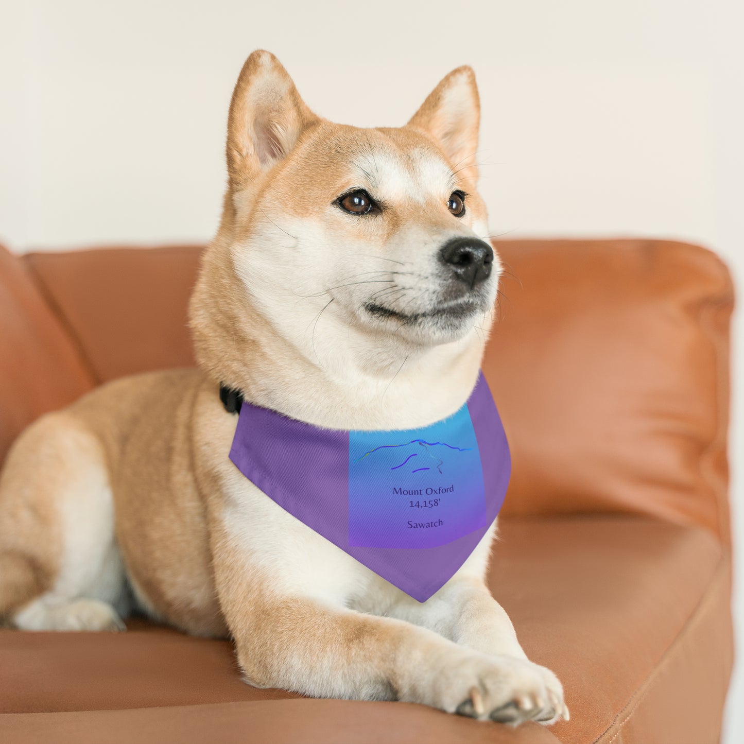 Mount Oxford 14er Pet Bandana Collar