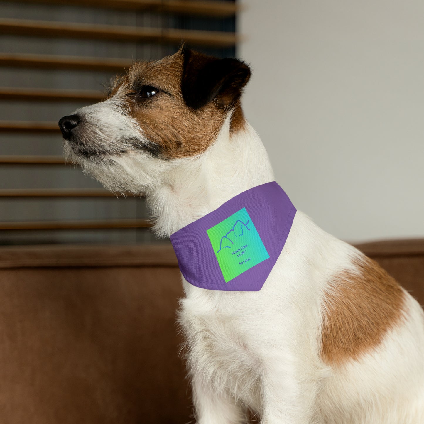 Mount Eolus 14er Pet Bandana Collar