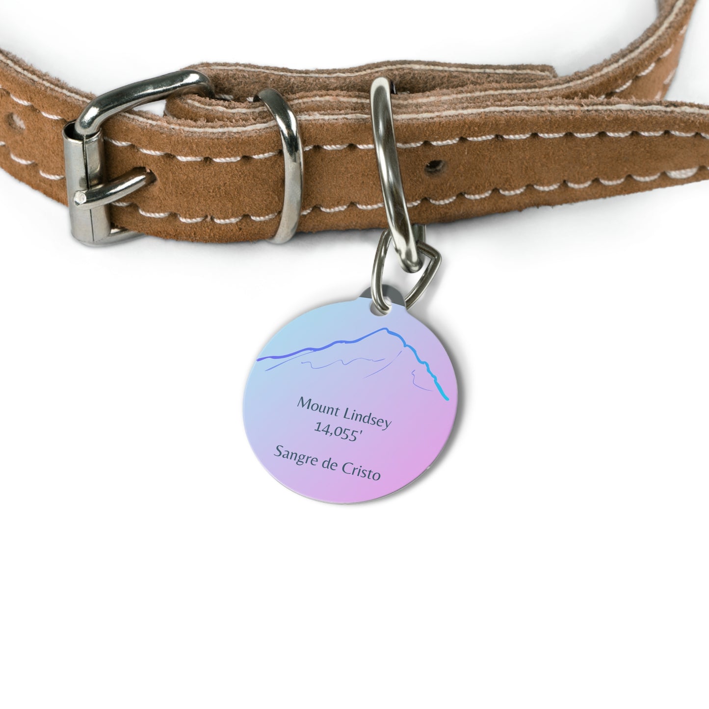 Mount Lindsey Pet Tag