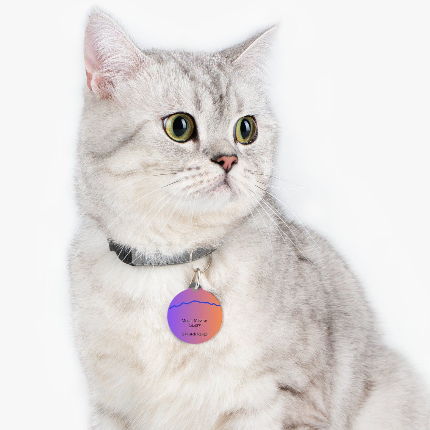 Mount Massive Pet Tag