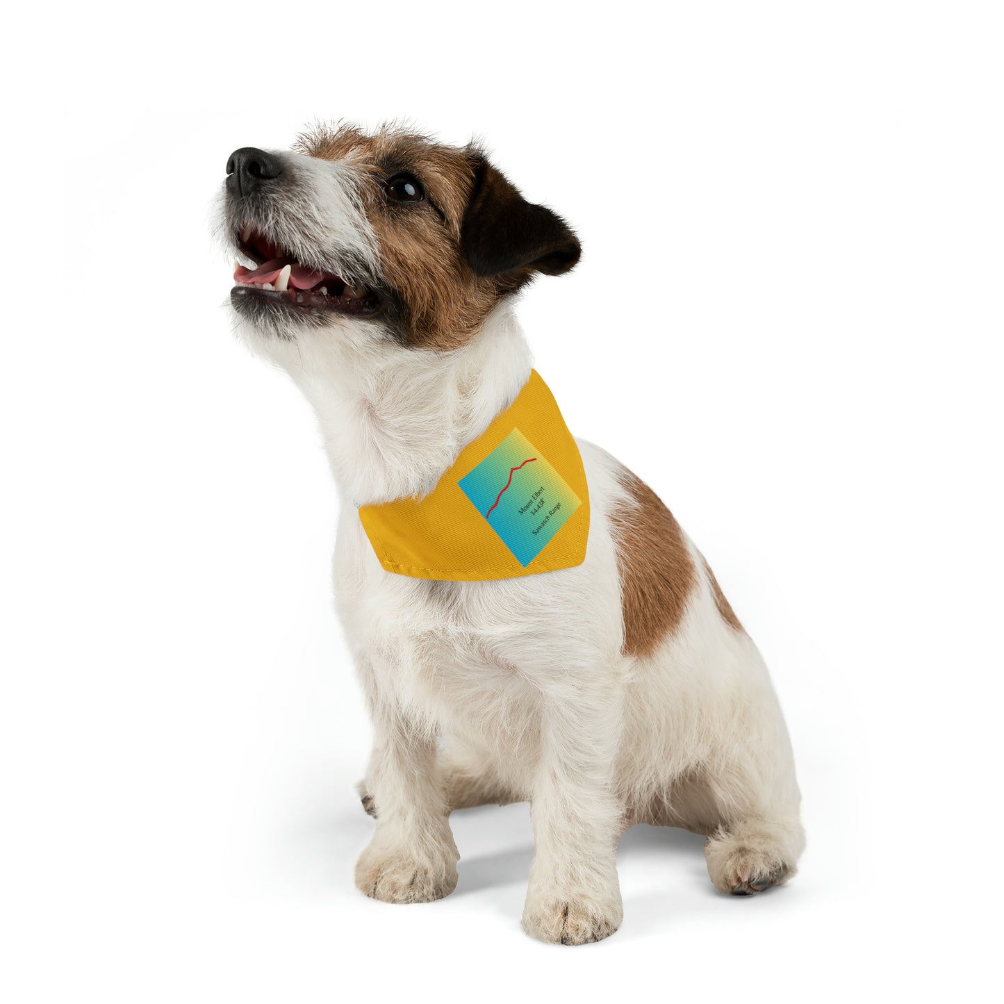 Mount Elbert 14er Pet Bandana Collar