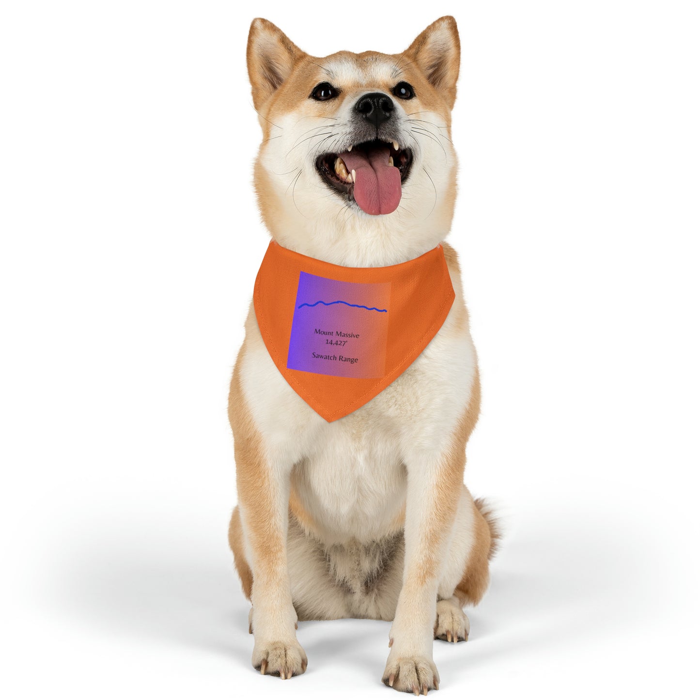Mount Massive 14er Pet Bandana Collar