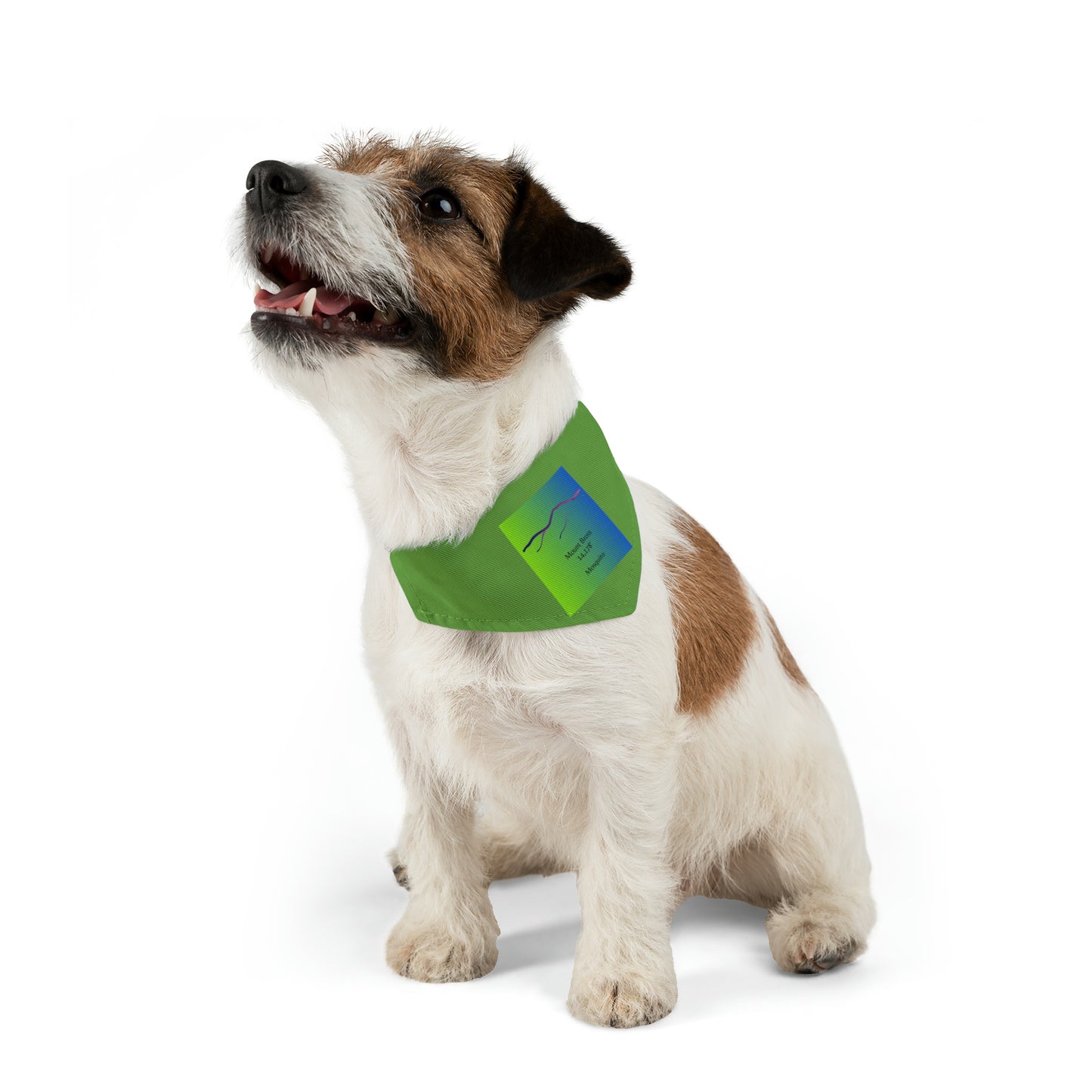 Mount Bross 14er Pet Bandana Collar