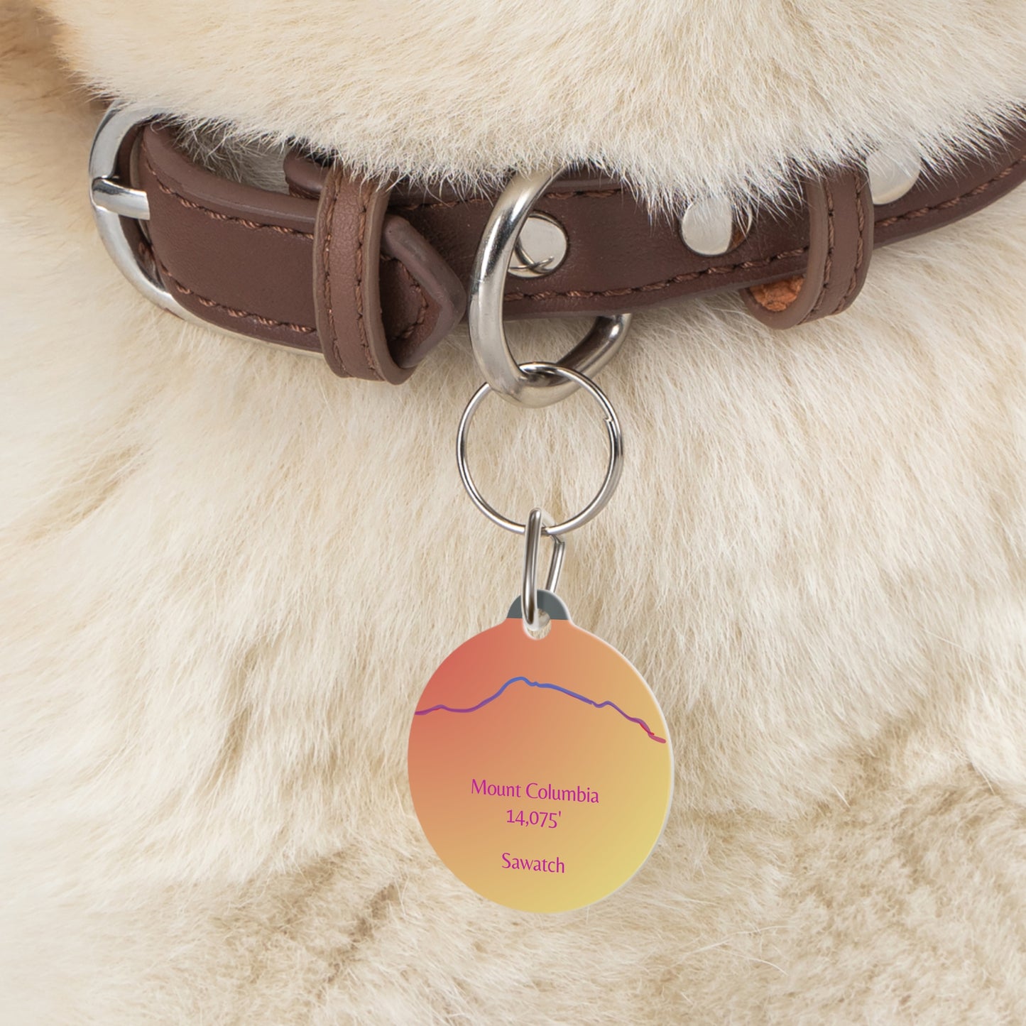 Mount Columbia 14er Pet Tag