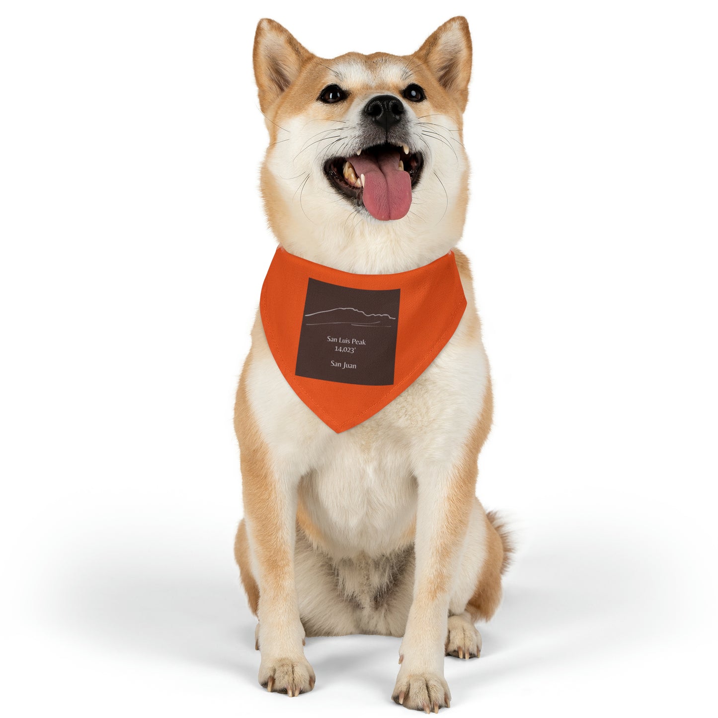 San Luis Peak 14er Pet Bandana Collar