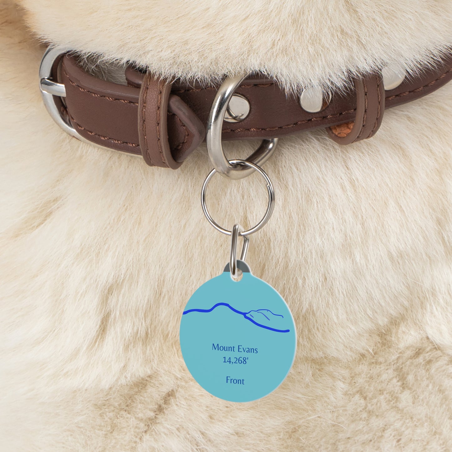 Mount Evans Pet Tag