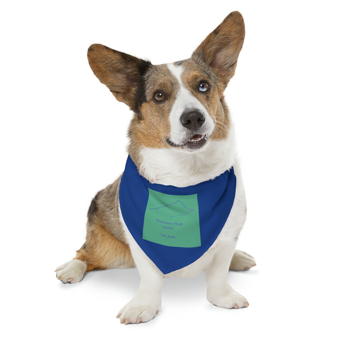 Wetterhorn Peak 14er Pet Bandana Collar