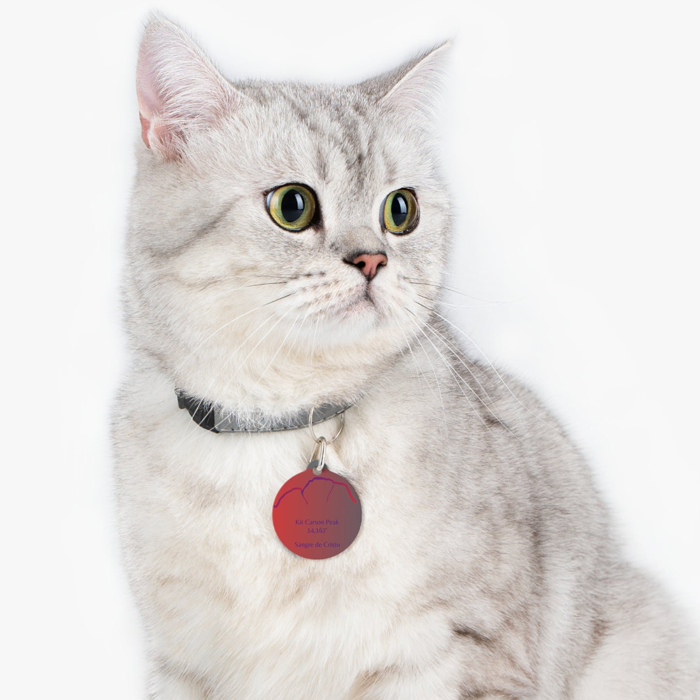 Kit Carson Peak Pet Tag