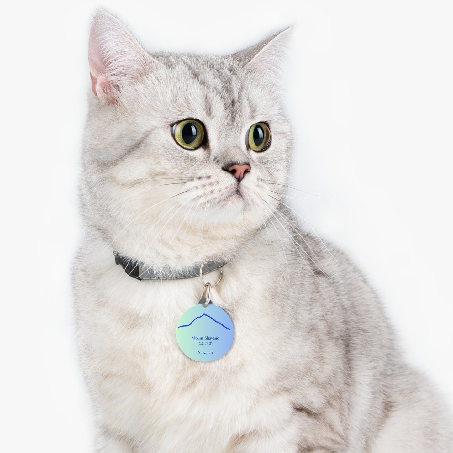 Mount Shavano Pet Tag