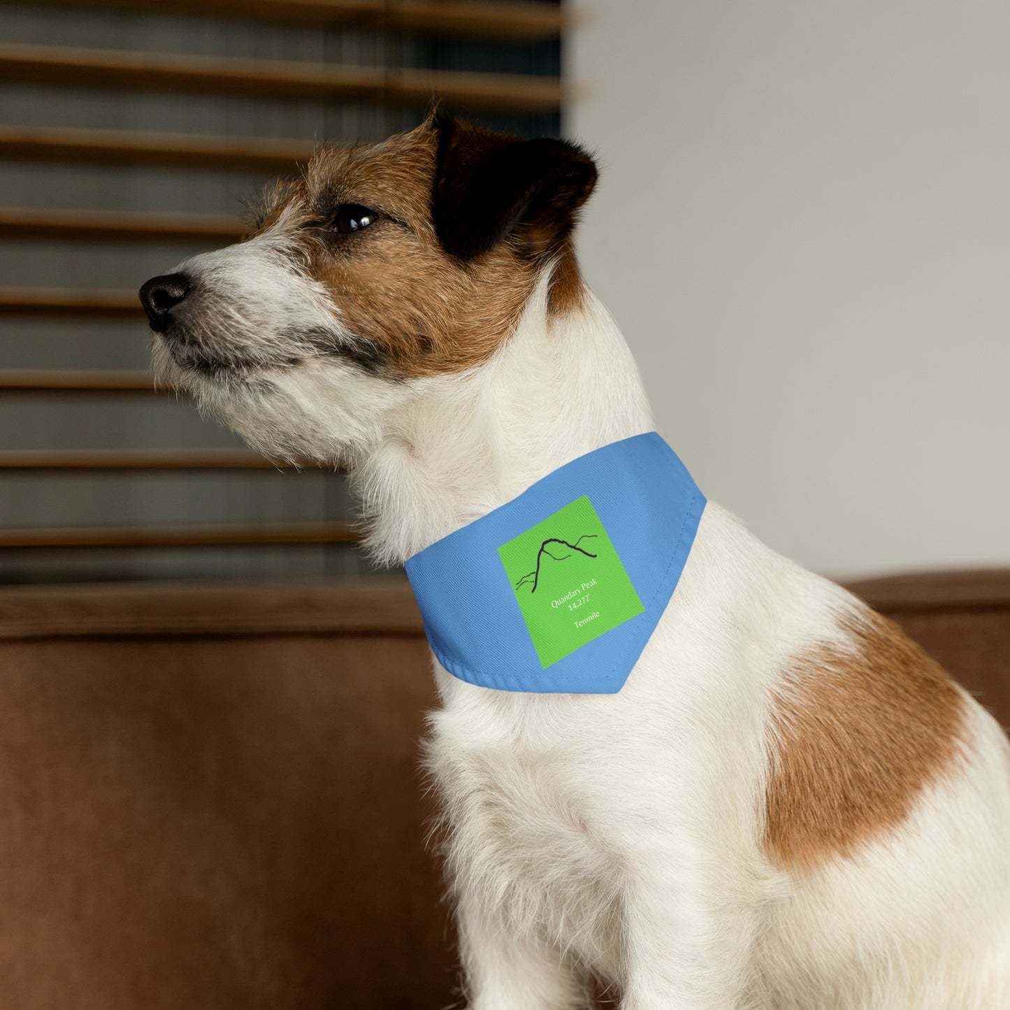 Quandary Peak 14er Pet Bandana Collar