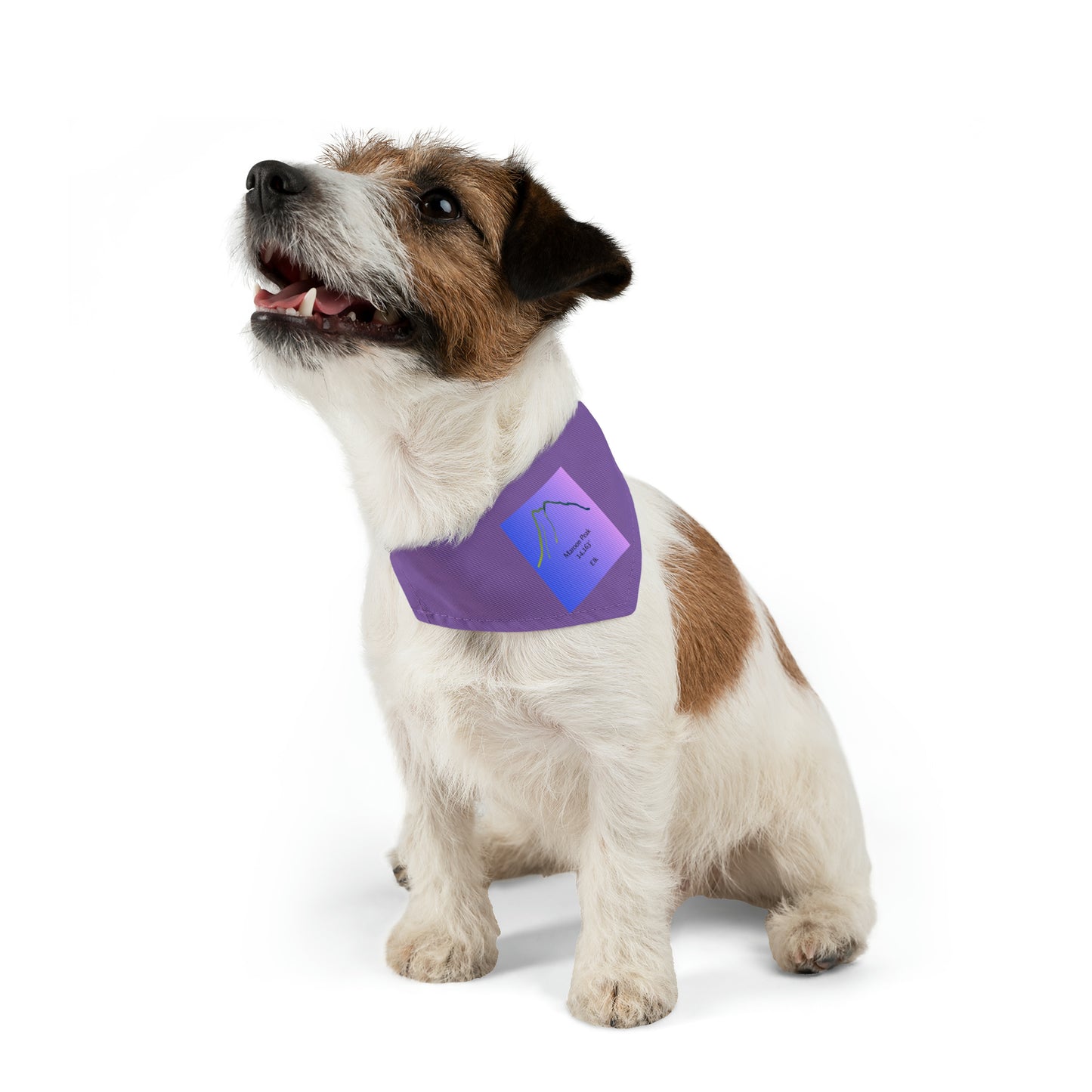 Maroon Peak 14er Pet Bandana Collar